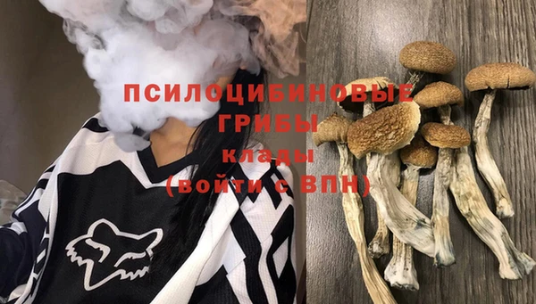 ALPHA PVP Алексин