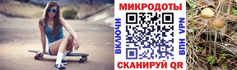 кракен как войти  Кирсанов  Псилоцибиновые грибы Cubensis 